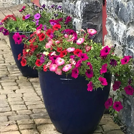 Nyaraló Wild Atlantic Lets Kinvara